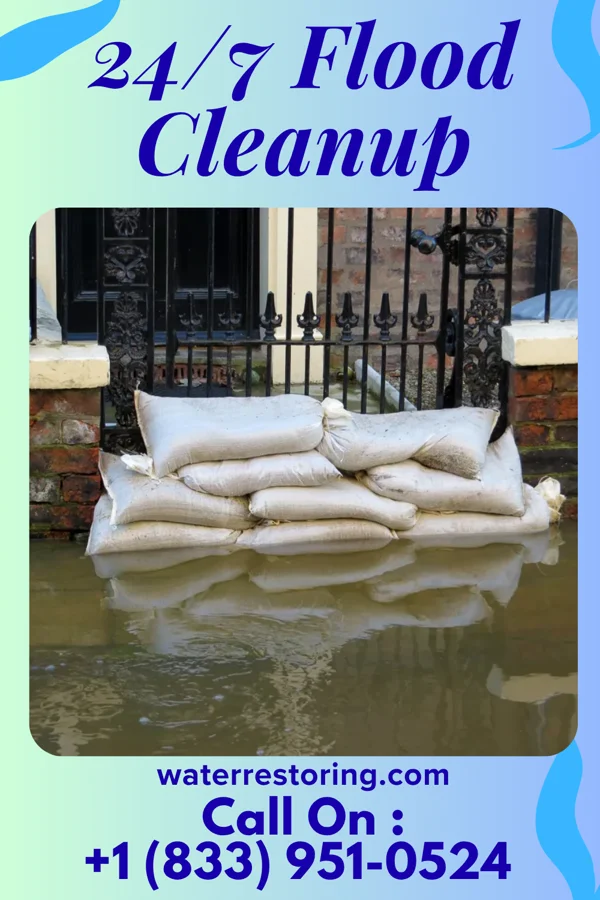 24/7 Flood Cleanup in Seminole, FL