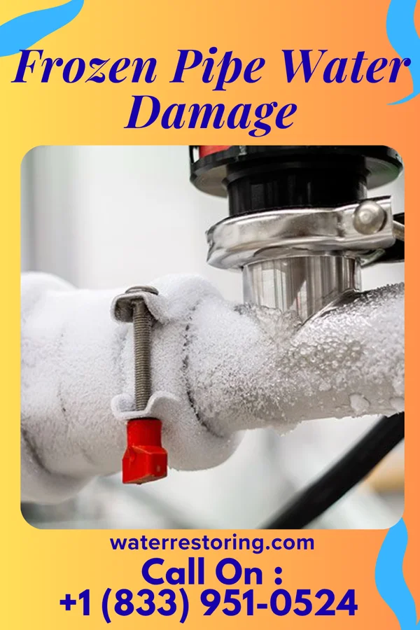 Frozen Pipe Water Damage in Seminole, FL