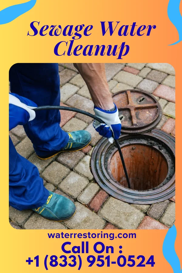 Sewage Water Cleanup in Seminole, FL